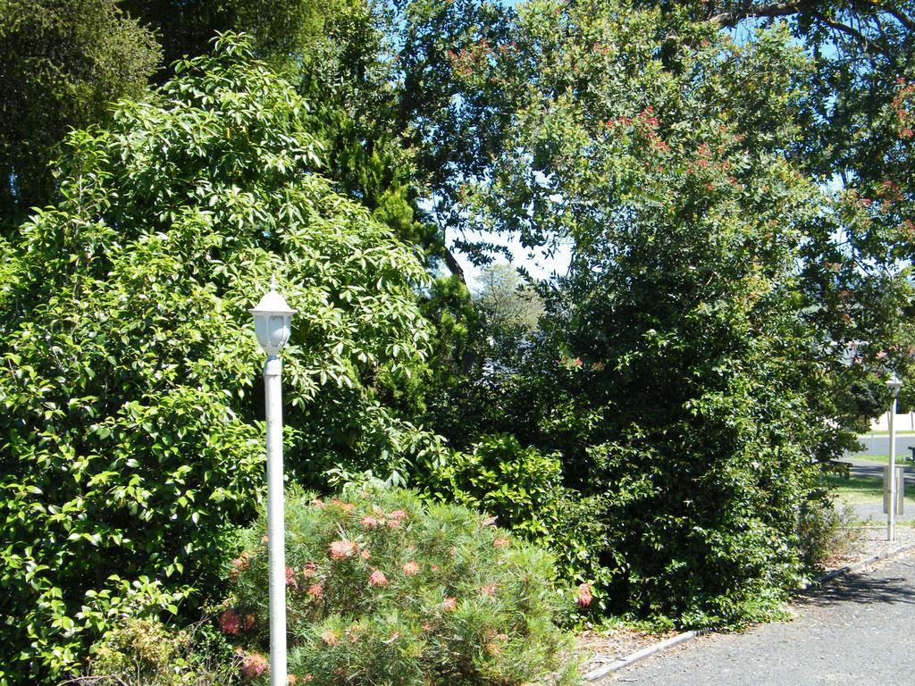 Bega Caravan Park Eksteriør billede